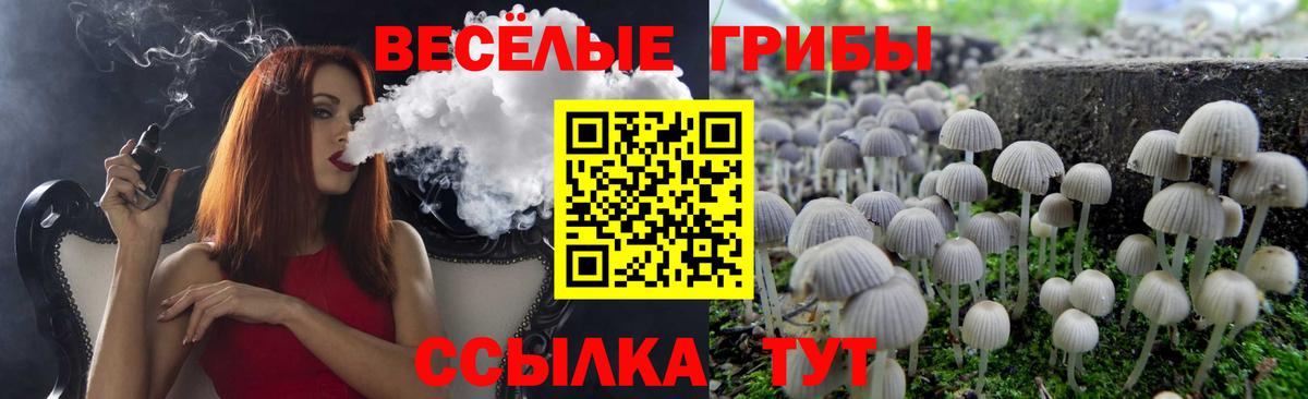 Янаул  Псилоцибиновые грибы мицелий  Вход с VPN 